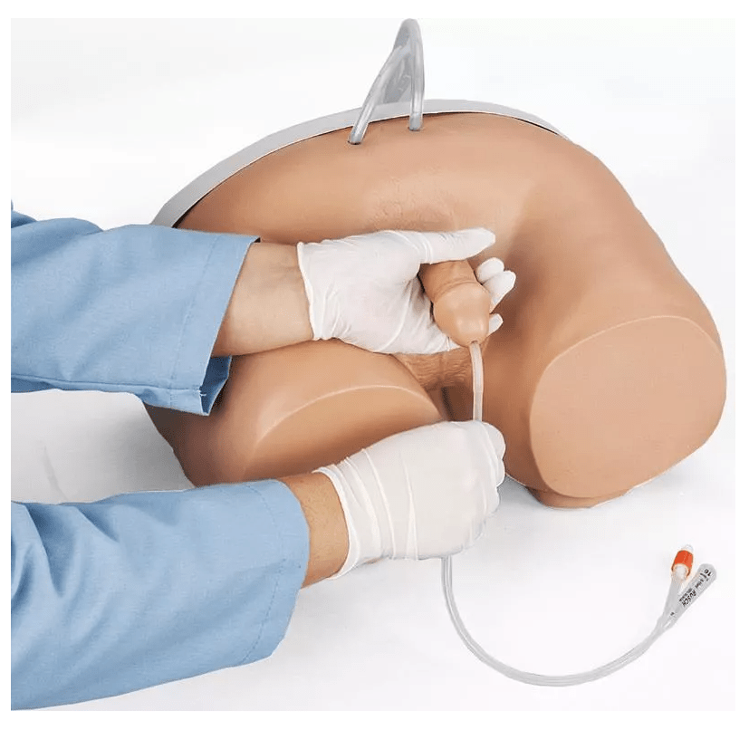 Katheterisierungs - Simulator - Erler - Zimmer